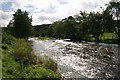 The River Teifi at Glanrhydypysgod