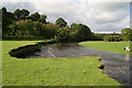 The River Teifi at Glanrhydypysgod