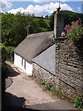 SX8156 : Steps Cottage by Derek Harper