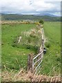 Fence and ditch near Carsenestock