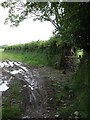 Muddy field entrance near Exton Hill