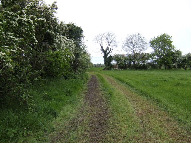 Farm track near Gilltown