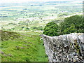 The Moel Rhiwen wall above Maes Meddygon