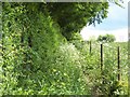 Footpath at Charlton on the Hill