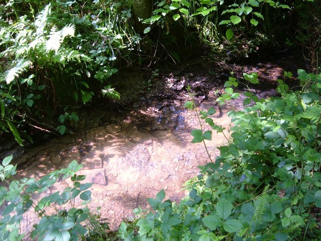 Stream in Dallington Forest