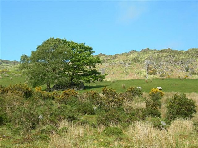 Grazing Land \u00a9 Mary and Angus Hogg :: Geograph Britain and Ireland