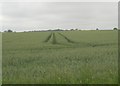 Three rail tramline, Highfield Farm