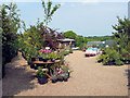 Harborough Nurseries