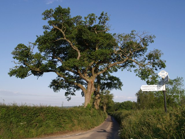 Junction on Holditch Lane