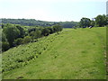 On Sidcot Hill