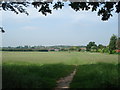 Playing fields from the edge of Nunnery Wood