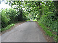 Country road near Lynders Wood