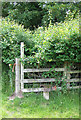 Public Footpath (it says!), Linleygreen, Shropshire