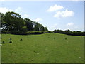 Tumulus in the corner of the field