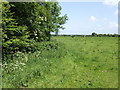 Dairy pasture near Everard