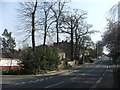 Eversley Park Road looking up hill, Brookside on left.