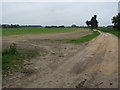 Farm track from Obelisk Lane