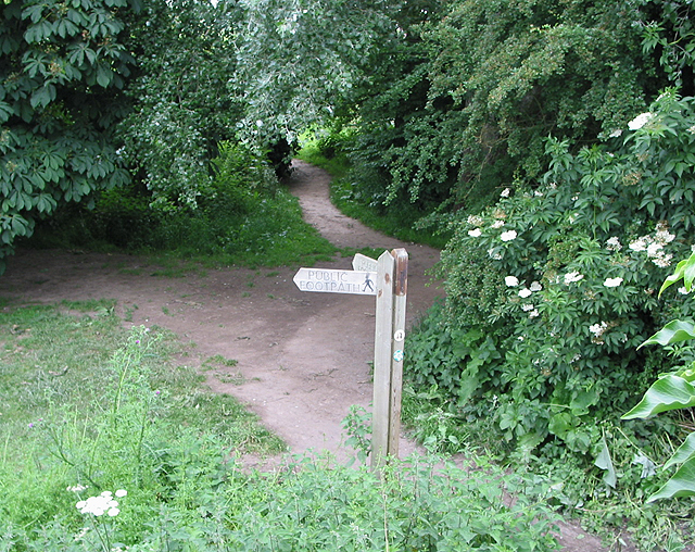 Footpath junction near the Wye at Wilton Bridge