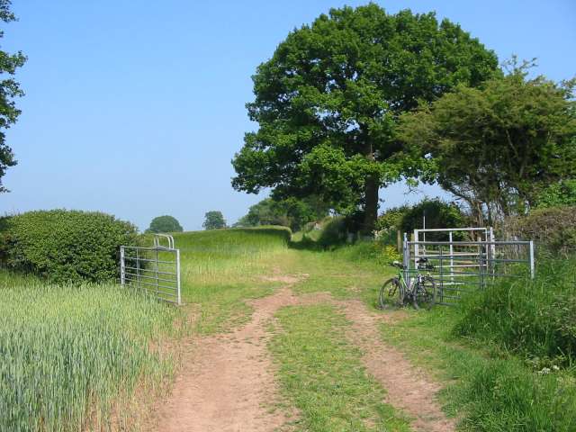 Bridleway near Great Gate