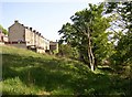 Houses on Wilton Street, Brighouse