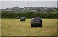 Recently cut field and hay bales