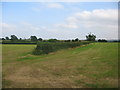 Farmland off Monger Lane