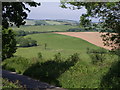 View across lane from Trebullett