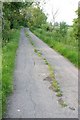 TR0527 : Chittenden's Lane by Mark Duncan