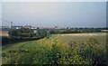 Fields near Buddles Farm