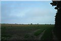 Fields near Bromstone