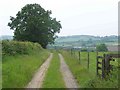 Footpath To Garshall House