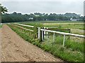 Millennium Path & Gallop, Tre Dodridge