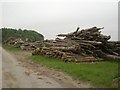 Timber seasoning at entrance to Woodland Farm