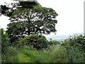 Left hand footpath to Birthwaite Lodge