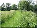 The Saxon Shore Way as it enters Grove Ferry