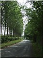 Country Road adjacent to Llanerch Vineyard