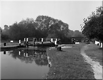 TQ0794 : Lot Mead Lock No 80, Grand Union Canal by Dr Neil Clifton