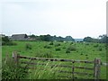 Footpath across meadow, Moor Farm