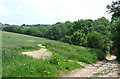 Fields and Track near Much Wenlock, Shropshire