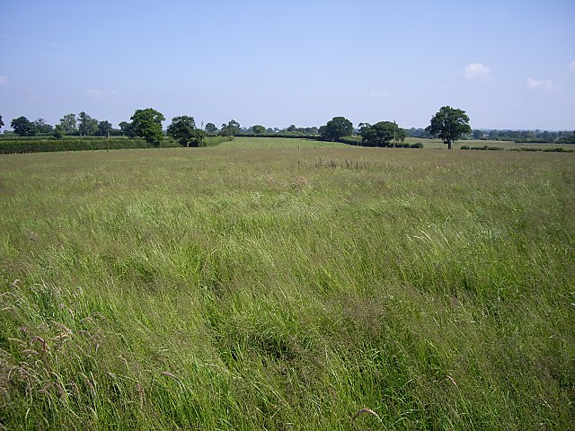 View over field toward White Cottage