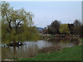 Ockley Village Pond