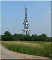 Radio mast at Copt Oak