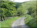 Winding country road