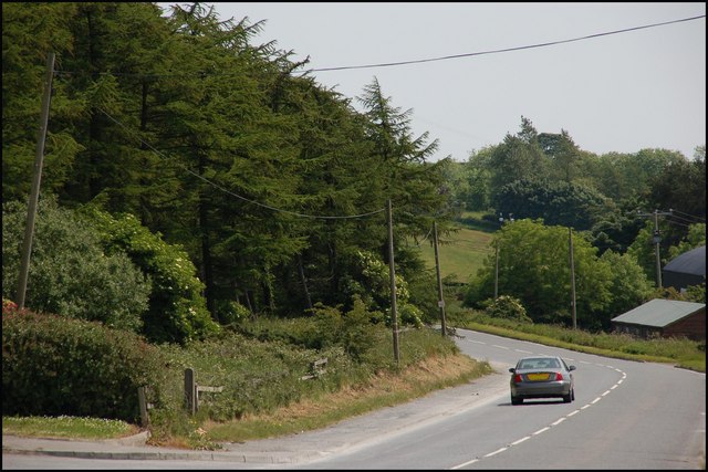 The Holywood Road near Craigantlet
