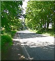 Warren Hills Road near Agar Nook