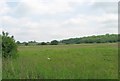 View across field to Furze Field