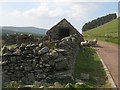NS9610 : Old sheep pen near Wintercleugh by Eileen Henderson