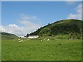 Chanlockfoot Cottages