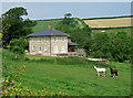 House on the road southwest of Wynford Eagle