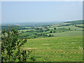 View looking towards Eggardon Farms